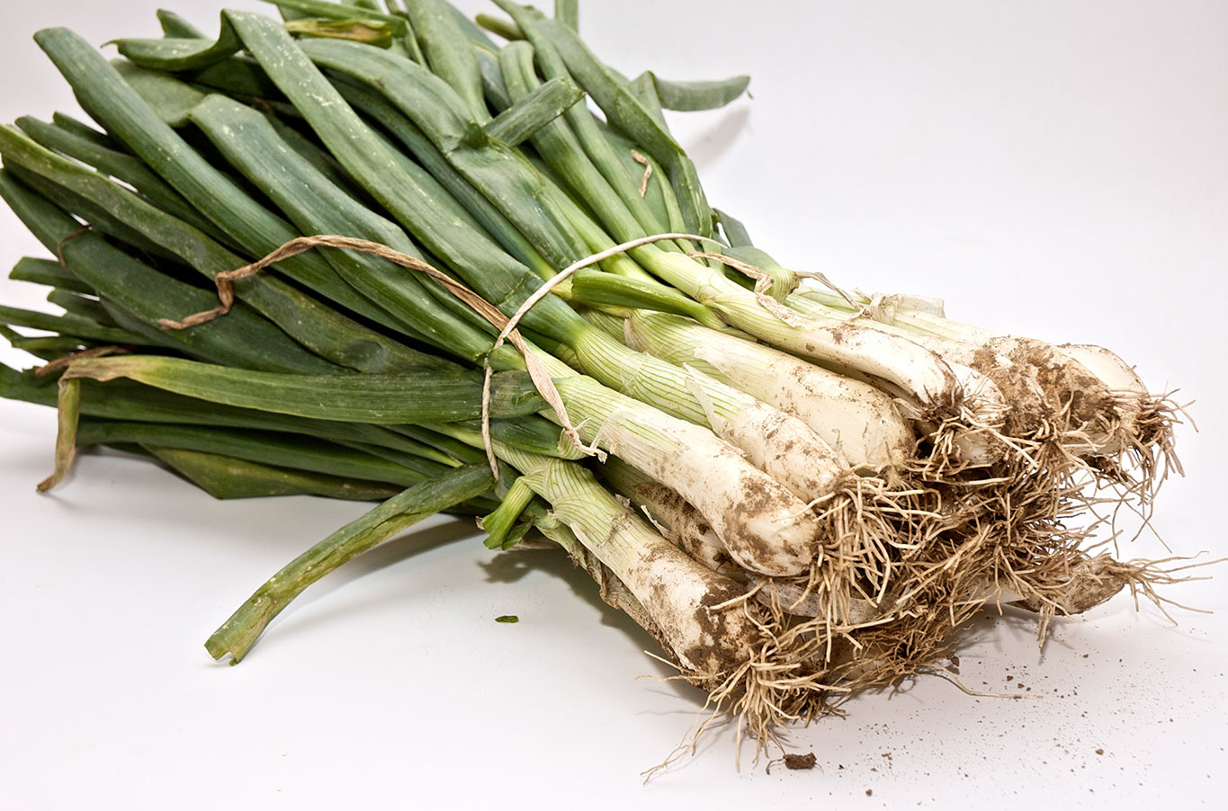 Calçots al vapor con salsa de almendras