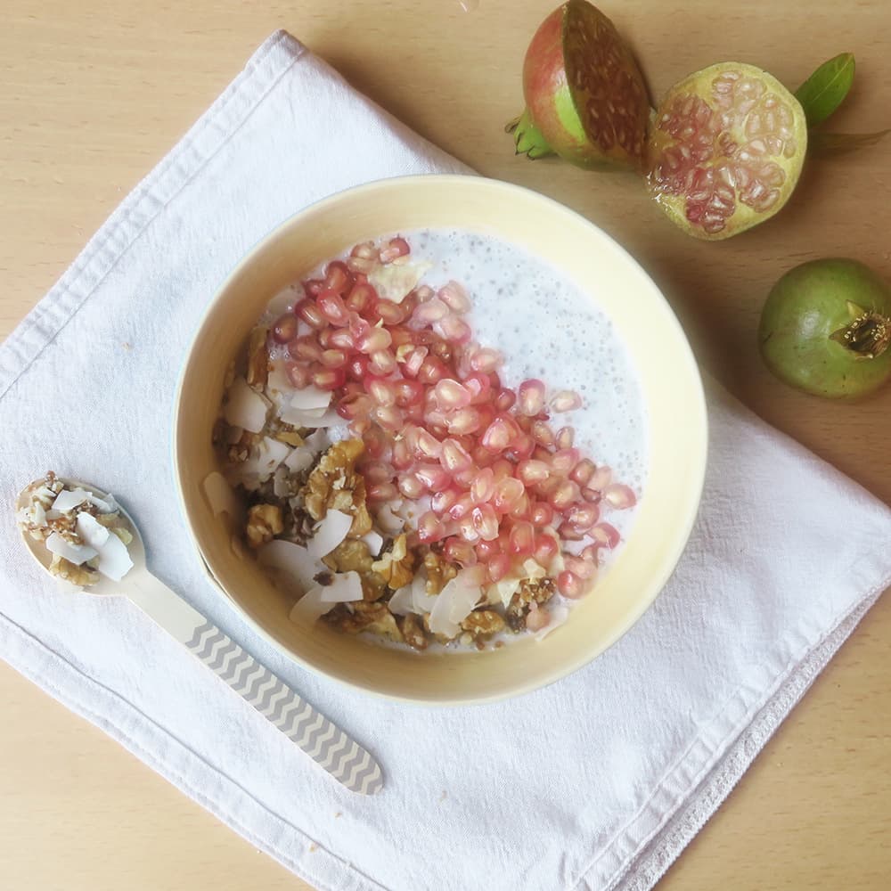 Rawnola de frutos secos y chips de coco