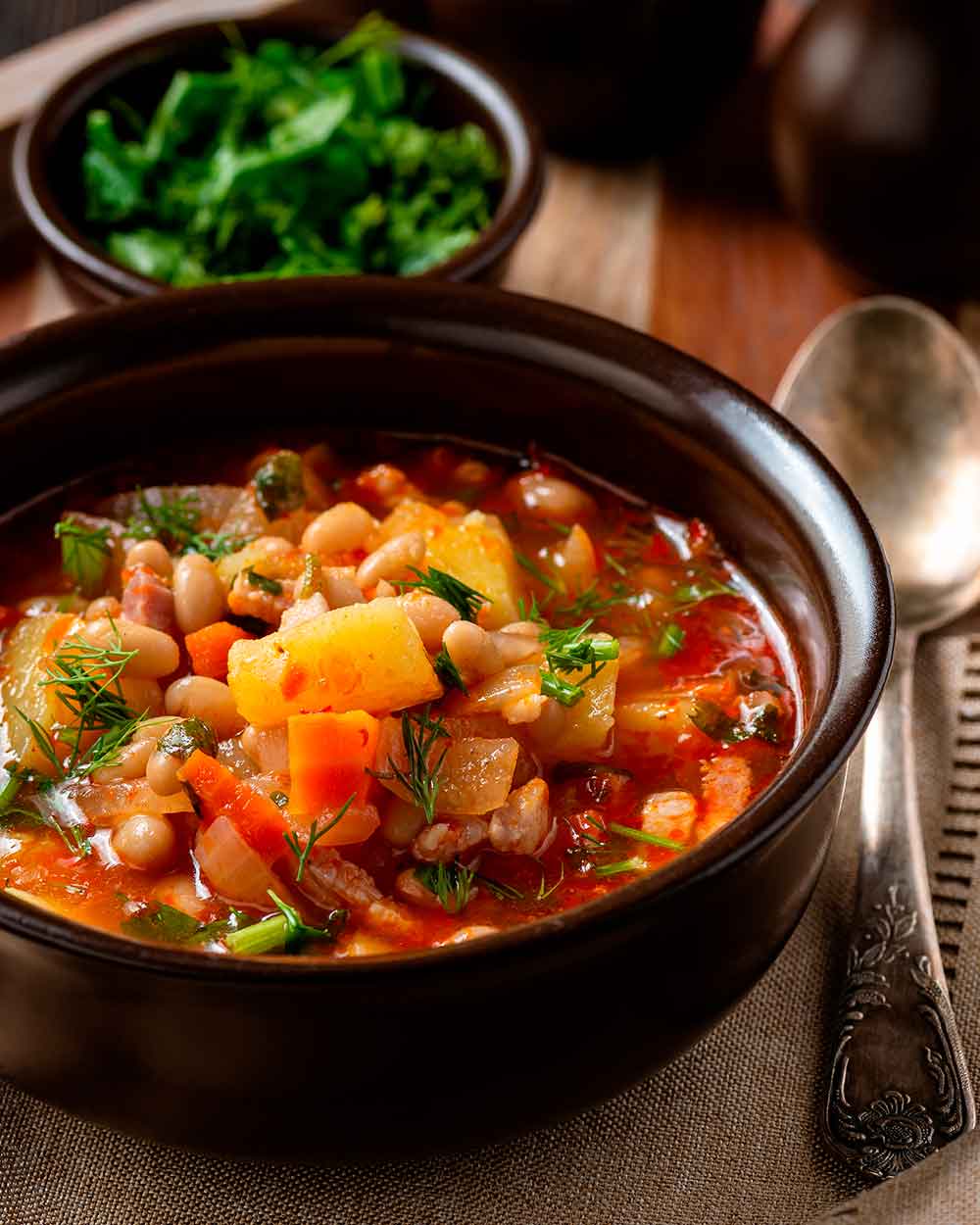 Sopa de verduras y judías blancas