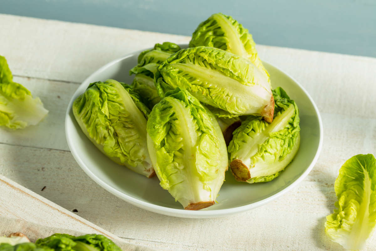 Corazones de lechuga con vinagreta